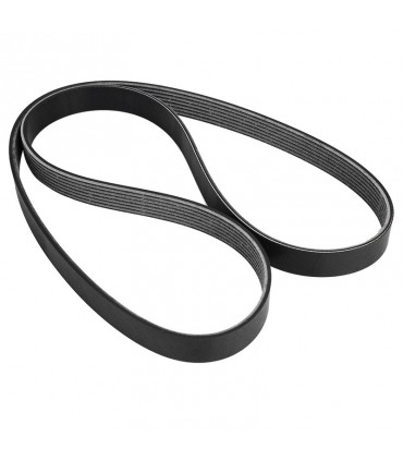 تسمه 1253 فونیکس کره