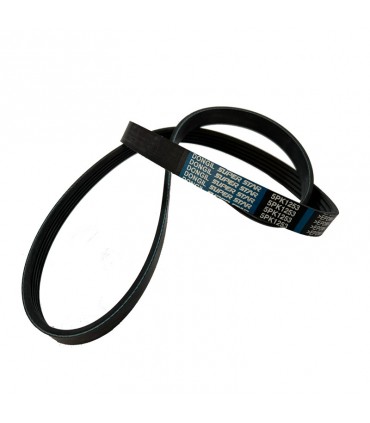 تسمه 1253 فونیکس کره