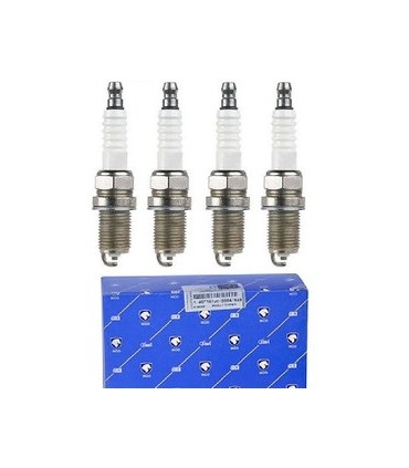 شمع موتور EF7گازسوز وبنزینی--1040300898