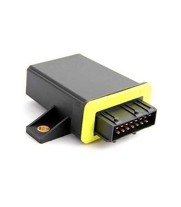 یونیت فن 405زرد ارمان