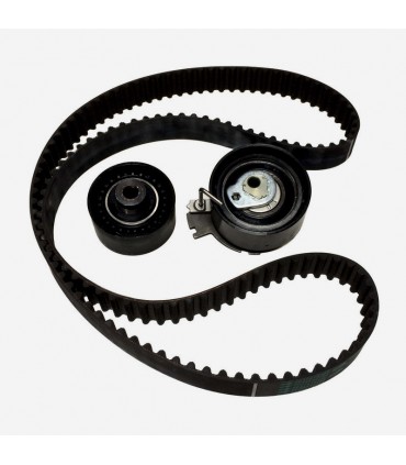 کیت تسمه تایم کامل 206 تیپ 5 پاورگریپ PSA