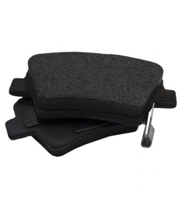 لنت عقب دنا ایس