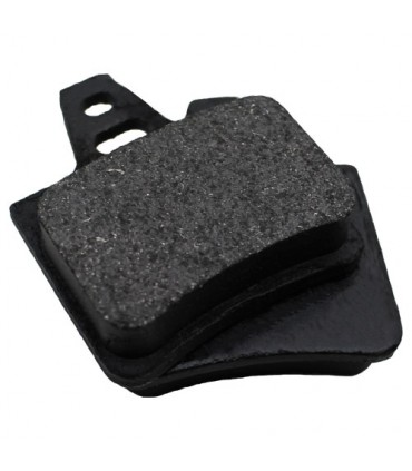 لنت عقب زانتیا koart