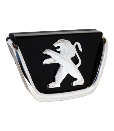 ارم جلو پنجره 206 پیشرفت