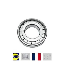 بلبرینگ 69349شفت گیربکس 405 SNR