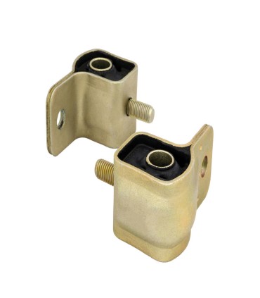 بوش جناقی 405 تیوان