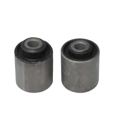 بوش طبق تیبا_تیوان