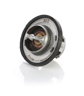 ترموستات 206اورجینال 83درجه psa