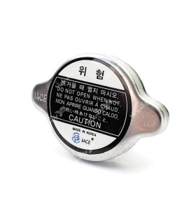 درب رادیاتور ریو ایس