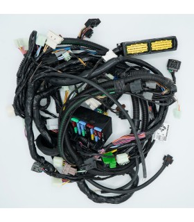 دسته سیم الکتریکی موتور CNG