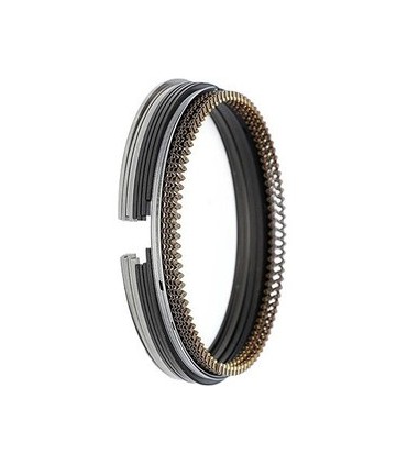 رینگ موتور 0.25 ال90_تیوان