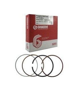 رینگ موتور 206تیپ2 STD قائم