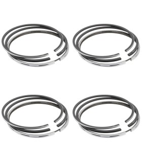 رینگ موتور 405 0302214