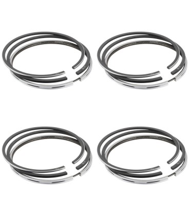 رینگ موتور 405 0302214