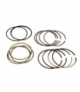 رینگ موتور 405 PSA