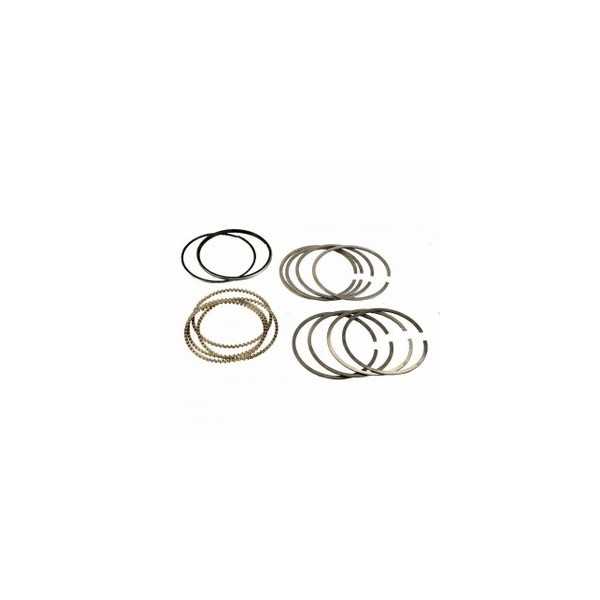 رینگ موتور اورجینال 206 T5 کد-0800303009