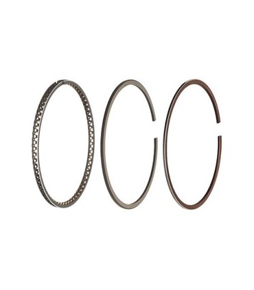 رینگ موتور پراید استاندارد یورو4 SM