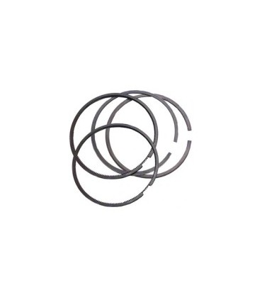 رینگ موتور0.5(ال90ساندرو(داچیا