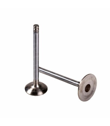 سوپاپ دود وهوا405ساوه