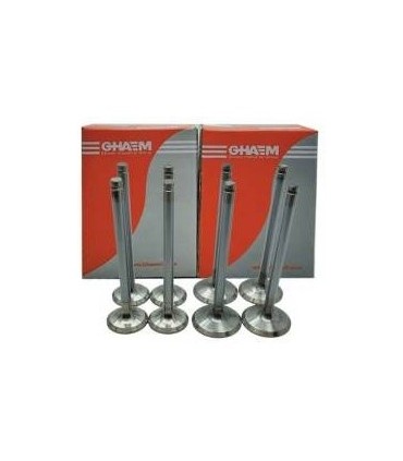 سوپاپ دودوهوا 405 قائم