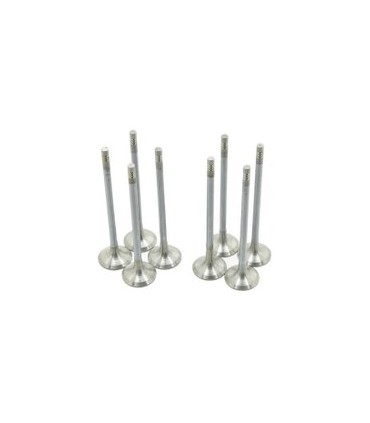 سوپاپ دودوهوا ef7سمند 0961500199