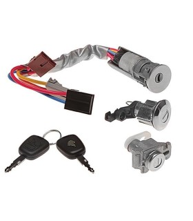 سوییچ دربهای دنا نصیر