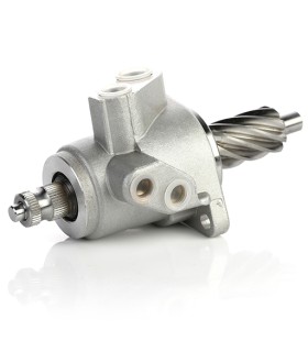 شیر فرمان 405 قدیم عظام