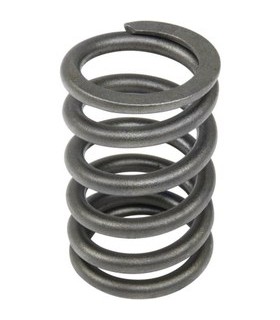 فنر سوپاپ 405 10500810