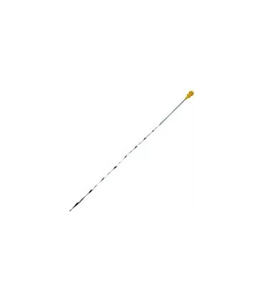 گژروغن 405 پیچی قدیم پیشرفت