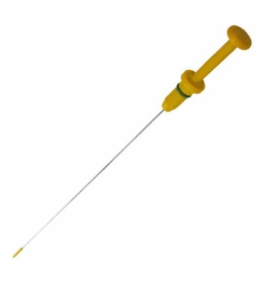 گژ روغن 206 پیشرفت